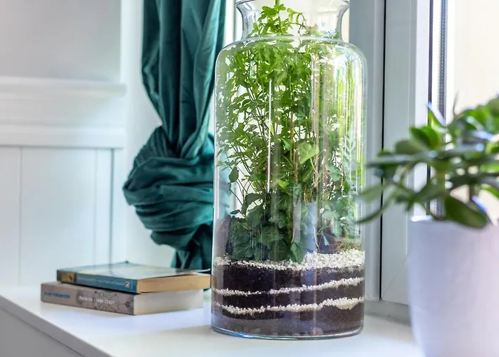 Swidnicka Deluxe Apartment Wroclaw